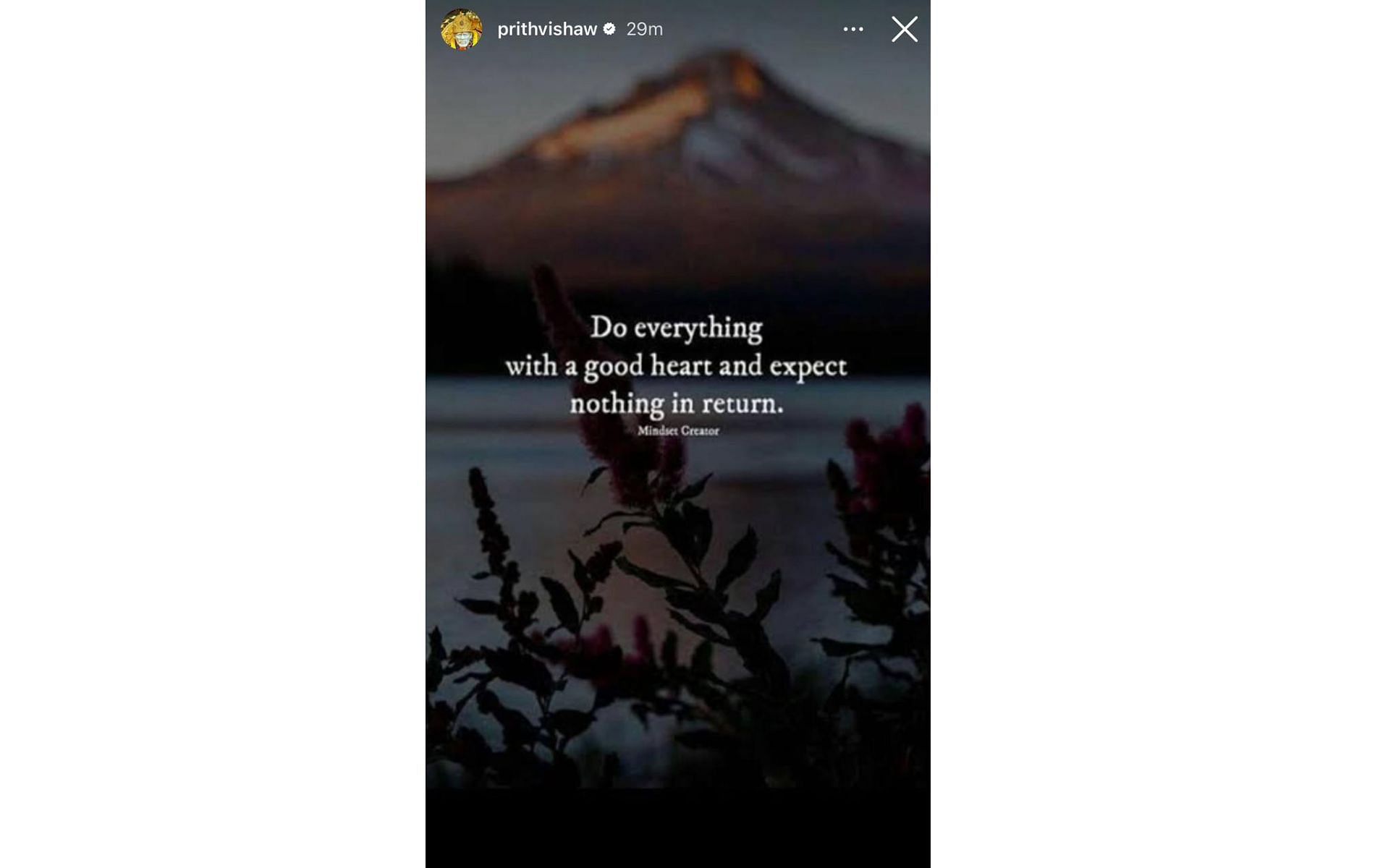 Screenshot of Prithvi Shaw's Instagram story.